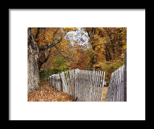 Autumn Framed Print featuring the photograph Leaves along the fence by Lois Lepisto
