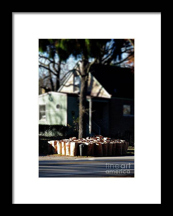 Leaves Framed Print featuring the photograph Leaves by Frank J Casella