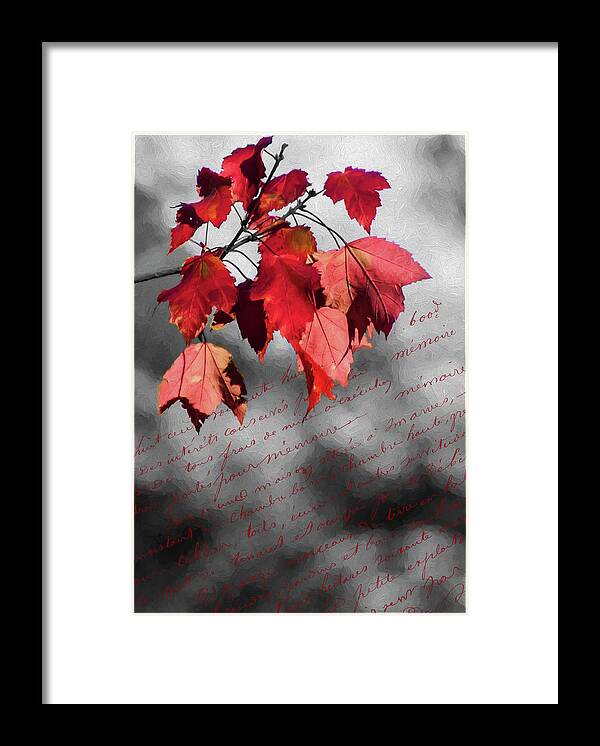 Black Framed Print featuring the photograph Leaves of Red by Cathy Kovarik