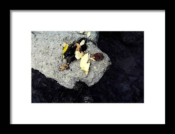 Rock Framed Print featuring the photograph Leaves on the Rocks by Lyle Crump