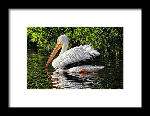 American White Pelican Framed Print featuring the photograph Leaving Now by H H Photography of Florida by HH Photography of Florida