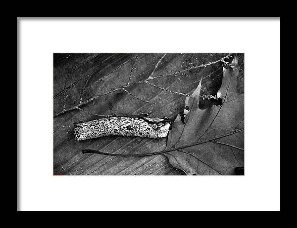 Left Overs Framed Print featuring the photograph Left Overs by Edward Smith