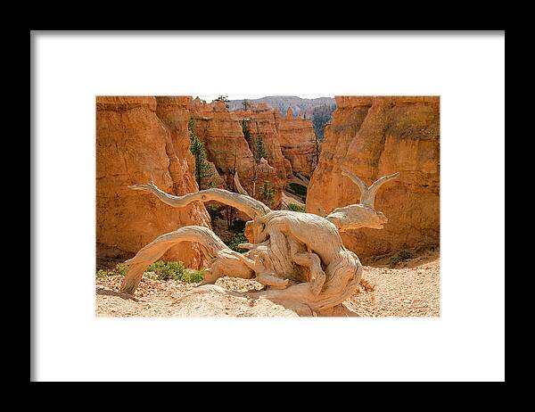 Bryce Canyon Framed Print featuring the photograph Legend People by Jim Cook