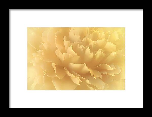 Flower Framed Print featuring the photograph Lemon Splash by Darlene Kwiatkowski