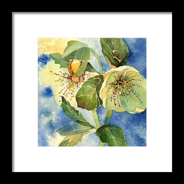 Watercolor Framed Print featuring the painting Lenten Rose by Casey Shannon