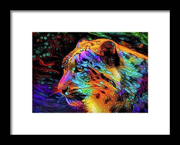 Leopard Framed Print featuring the photograph Leopard by Lilia S