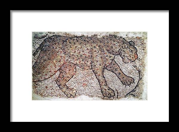Leopard Mosaic Framed Print featuring the photograph Leopard Mosaic No. 48-1 by Sandy Taylor