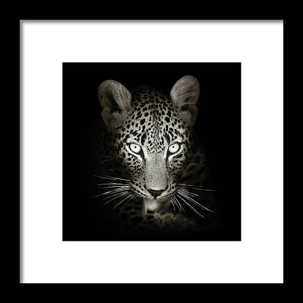 Leopard Framed Print featuring the photograph Leopard portrait in the dark by Johan Swanepoel