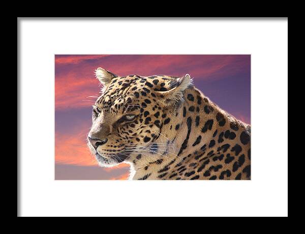 Leopard Framed Print featuring the photograph Leopard Portrait by Michele A Loftus