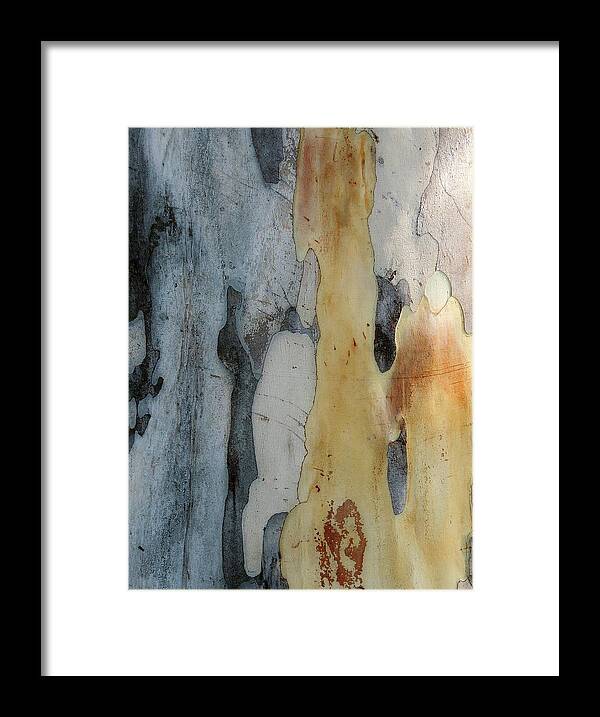 Leopard Tree Framed Print featuring the photograph Leopard Tree Bark Abstract No 2 by Denise Clark