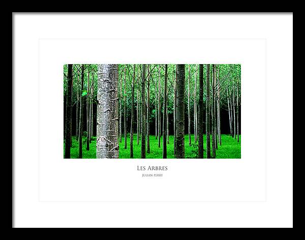 Canopy Framed Print featuring the digital art Les Arbres by Julian Perry