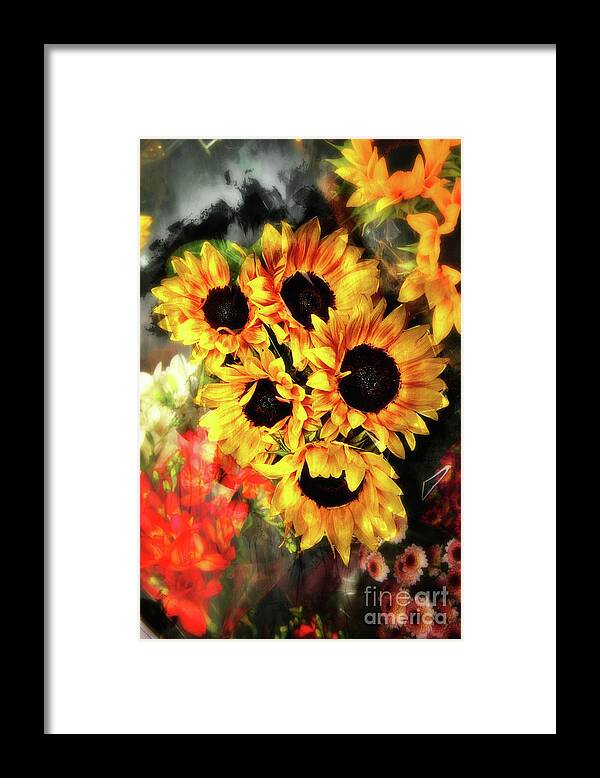 Sunflowers Framed Print featuring the photograph Les Tournesols by Jack Torcello