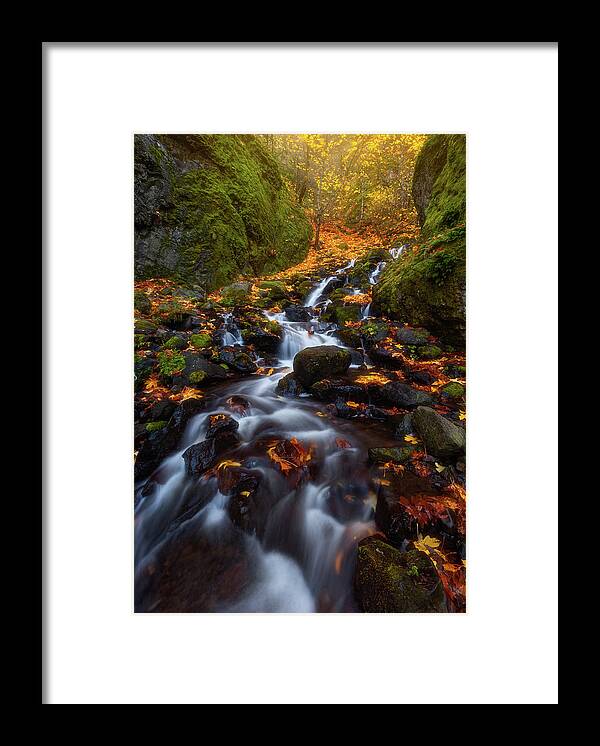 Fall Framed Print featuring the photograph Let the water fall by Darren White