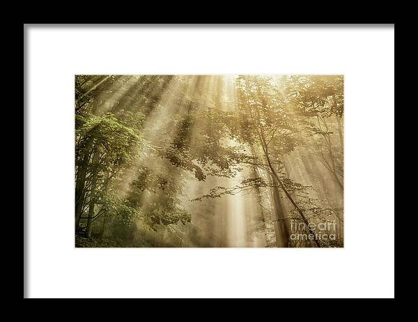 Sun Rays Framed Print featuring the photograph Let Your Glory Shine by Thomas R Fletcher