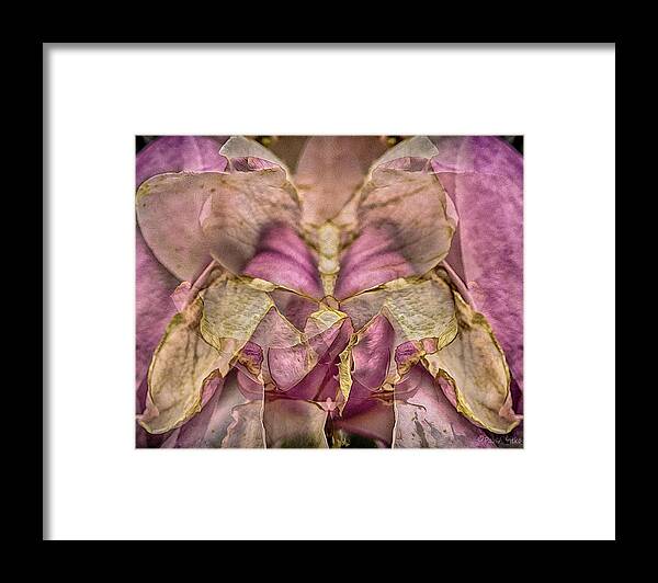 Butterfly Framed Print featuring the photograph Lether Butterfly Or Not by Paul Vitko