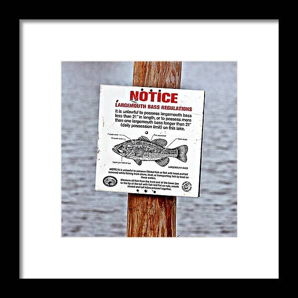 Bass Framed Print featuring the photograph Let's Go Fishing by KayeCee Spain