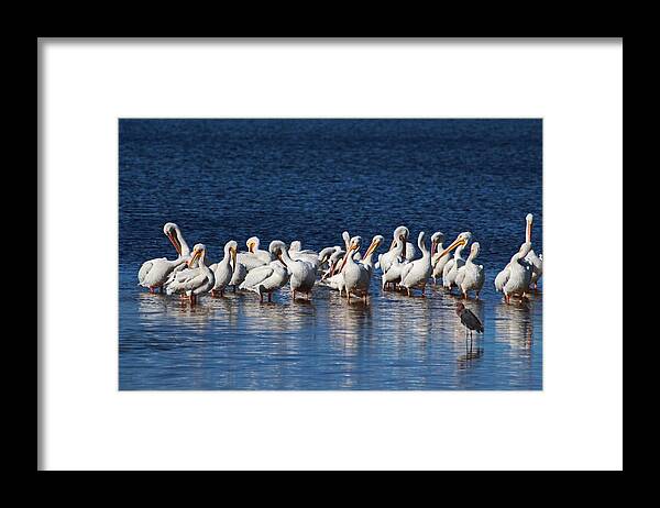 Nature Framed Print featuring the photograph Let's Hold Onto Each Other by Michiale Schneider