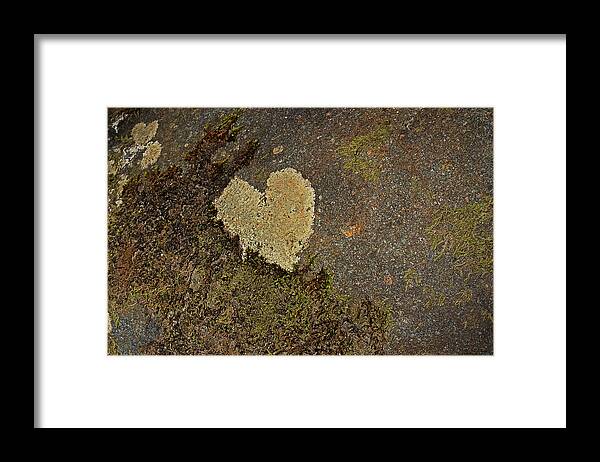 Lichen Framed Print featuring the photograph Lichen Love by Mike Eingle