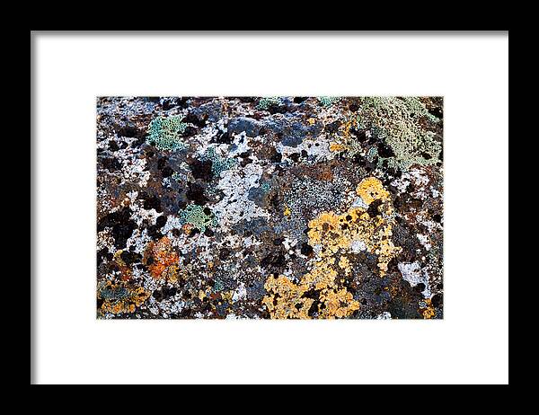 Rock Framed Print featuring the photograph Lichen Near Haifoss - Iceland by Stuart Litoff