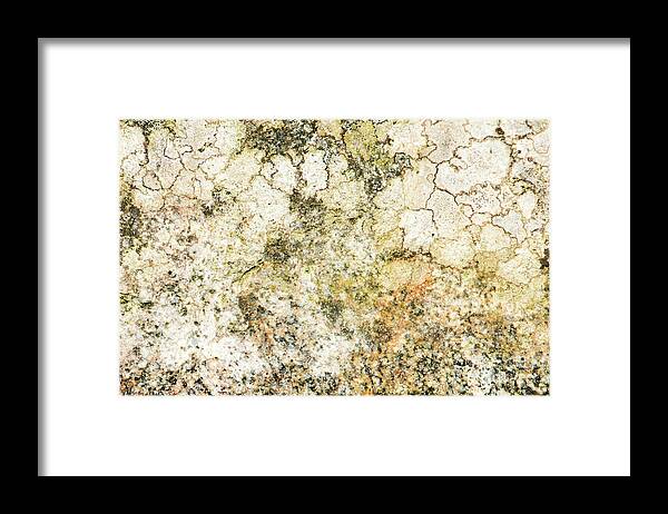 Background Framed Print featuring the photograph Lichen on a stone, background by Torbjorn Swenelius