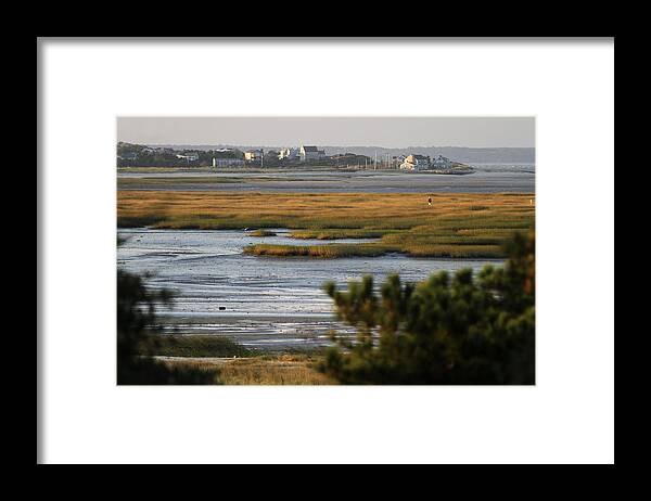 Cape Cod Framed Print featuring the photograph Lieutenant Island, Wellfleet by Thomas Sweeney