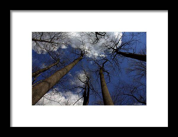 Life Above Framed Print featuring the photograph Life Above by Edward Smith