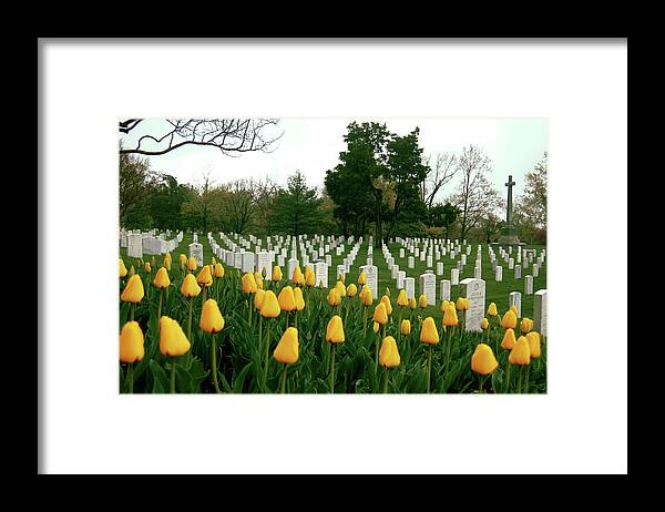 Arlington Framed Print featuring the photograph Life and Death at Arlington by Jame Hayes