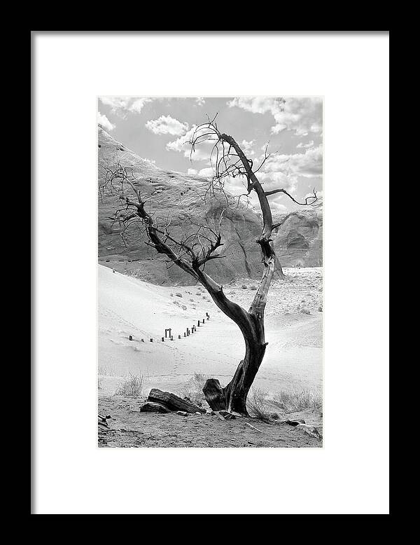 Dead Tree Framed Print featuring the photograph Life in the Desert - Arizona by Mike McGlothlen