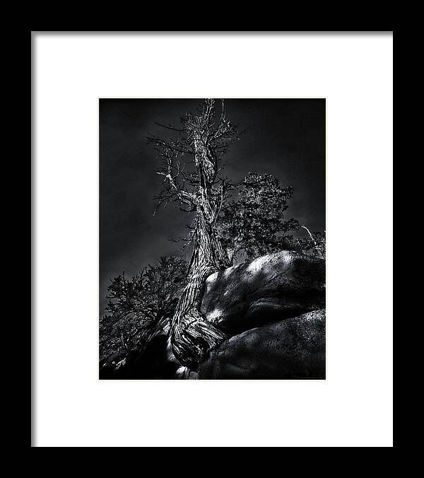 California Framed Print featuring the photograph Life Is Tribulation by Denise Dube