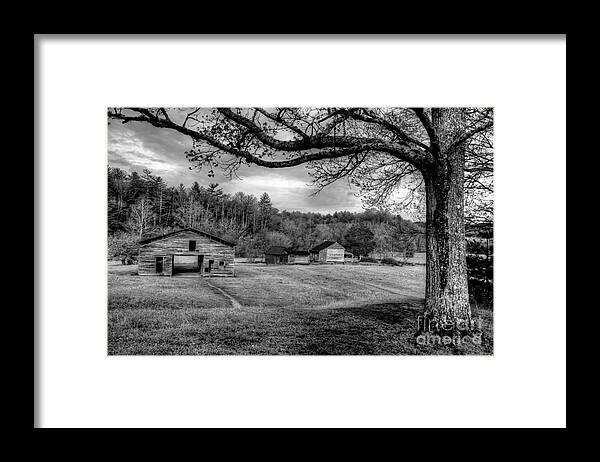 Cades Cove Framed Print featuring the photograph Life Leads Us Along Many Paths by Michael Eingle