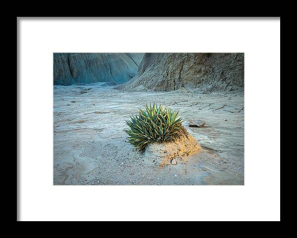 Abdsp Framed Print featuring the photograph Life on Mars by Alexander Kunz