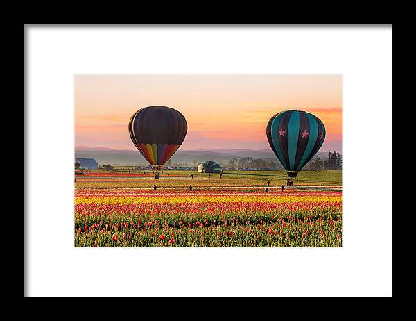 Hot Air Balloons Framed Print featuring the photograph Lift Off by David Gn