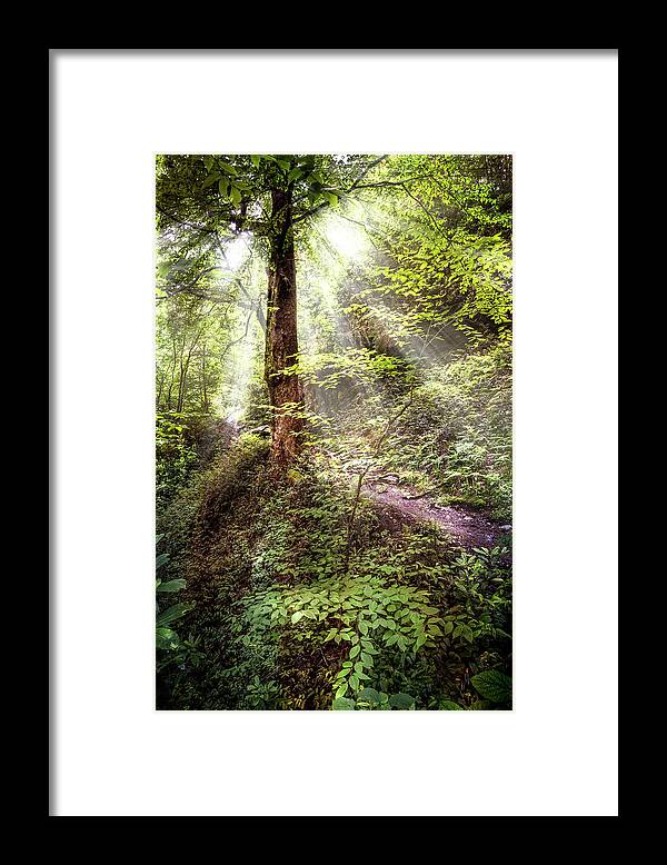 Appalachia Framed Print featuring the photograph Light along the Trail by Debra and Dave Vanderlaan