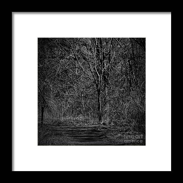 Light And Shadow Framed Print featuring the photograph Light and Wood Monochrome by Frank J Casella