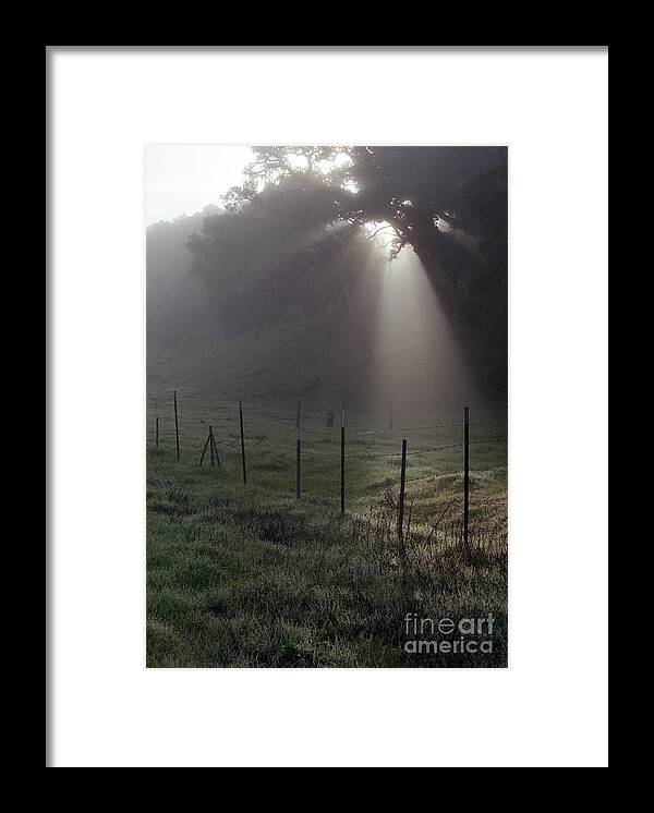 Landscape Framed Print featuring the photograph Light Beam on Oak by Balanced Art