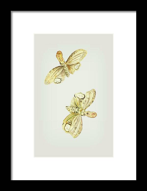 Light Framed Print featuring the mixed media Light Producing Moth Called Lantern Bearer Cornelis Markee 1763 by Movie Poster Prints