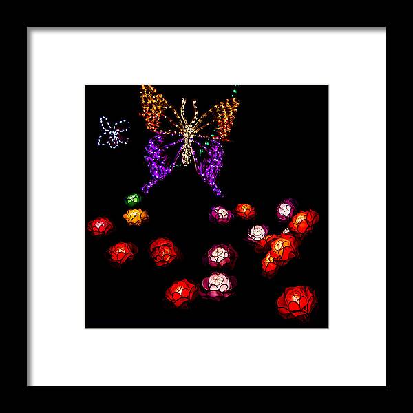 Selby Framed Print featuring the photograph Light Show at Selby Gardens by Richard Goldman