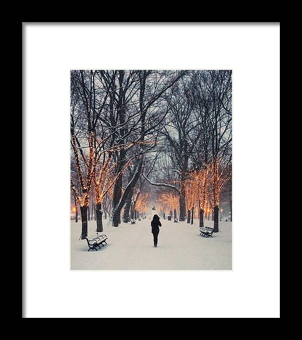 Boston Framed Print featuring the photograph Light Snow by Brian McWilliams