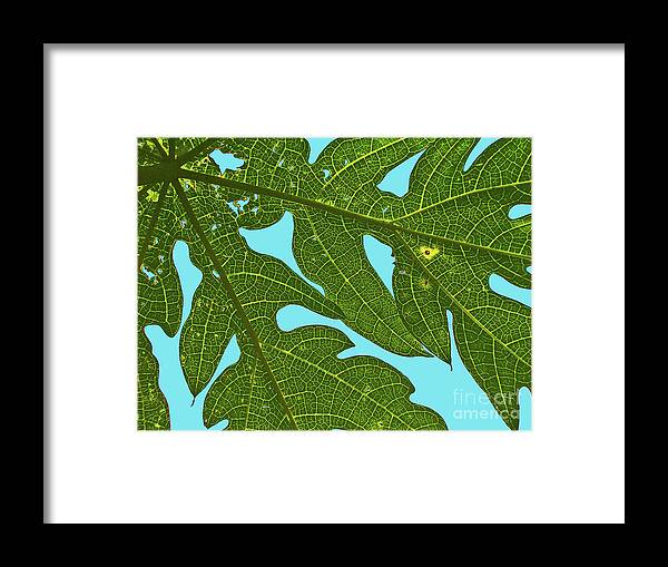 Light Framed Print featuring the photograph Light through the Leaves by Elizabeth Hoskinson