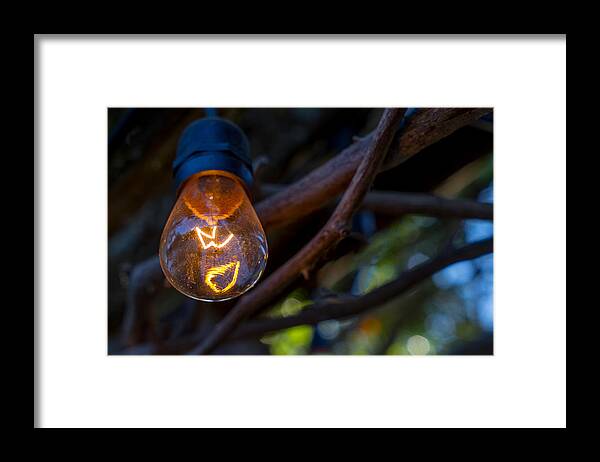 Lightbulb Framed Print featuring the photograph Lightbulb by Derek Dean