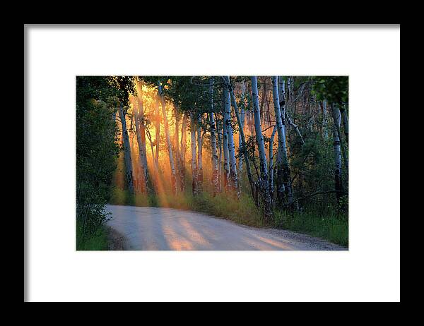 Rays Framed Print featuring the photograph Lighting The Way by Shane Bechler