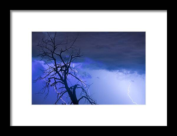 Tree Framed Print featuring the photograph Lightning Tree Silhouette 38 by James BO Insogna