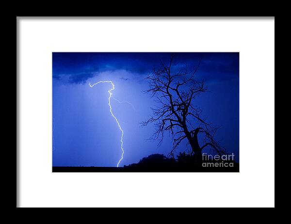 Tree Framed Print featuring the photograph Lightning Tree Silhouette by James BO Insogna
