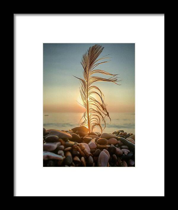 Feather Framed Print featuring the photograph Lights by Terri Hart-Ellis