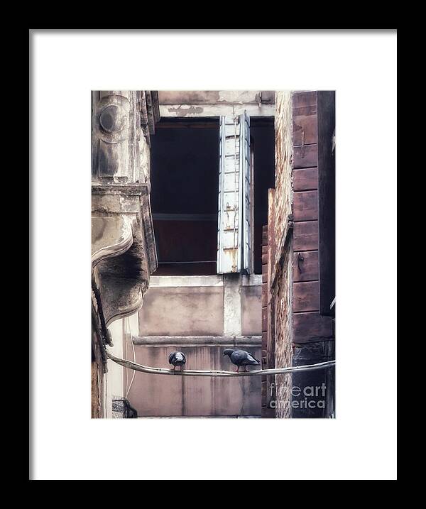 Pigeons Framed Print featuring the photograph Like a Bird on a Wire by Diana Rajala