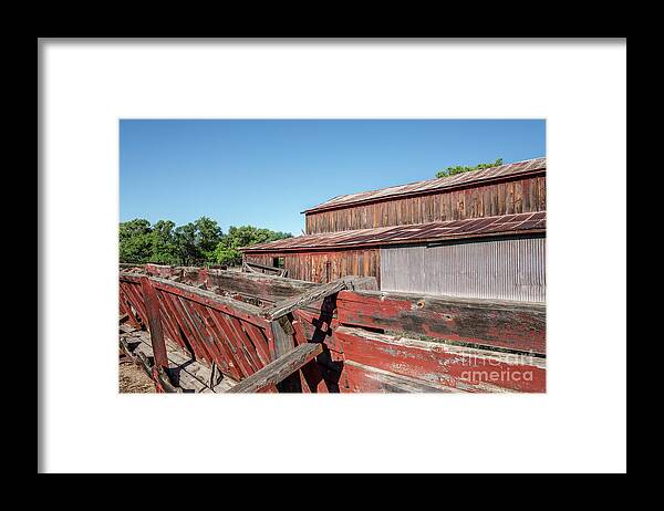 Abandoned Framed Print featuring the photograph Lil Boquillas Barn 10 by Al Andersen