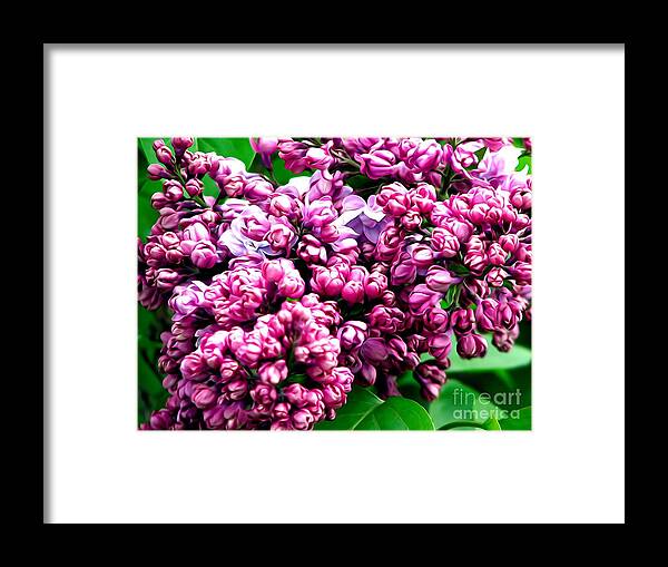 Lilac Blossoms Abstract Soft Effect 1 Framed Print featuring the photograph Lilac Blossoms Abstract Soft Effect 1 by Rose Santuci-Sofranko