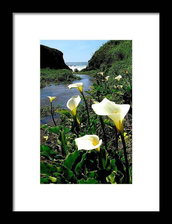 Photograph Framed Print featuring the photograph Lilly Beach- Big Sur by Sofanya White