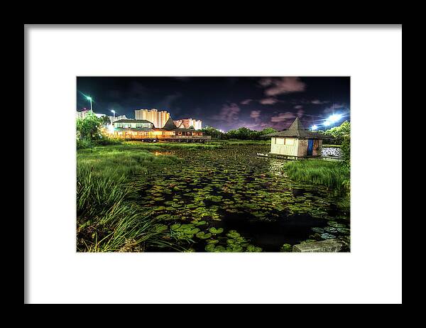 Panama City Beach Framed Print featuring the photograph Lilly Pads on the Pond by Daryl Clark