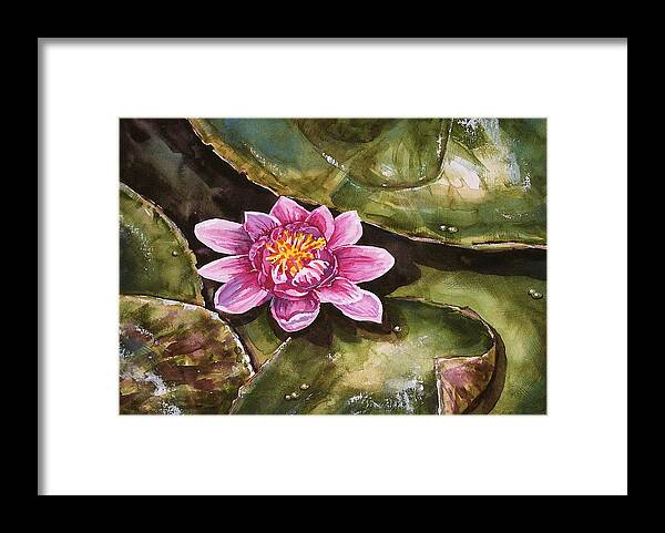 Lotus Framed Print featuring the painting Lily 1 by Lynne Haines